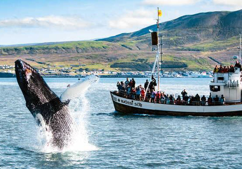 slider_tour_islandia_0005_Layer 19