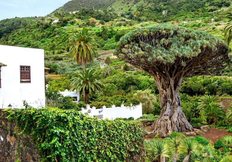 ilhas_canarias_2027_amt_009