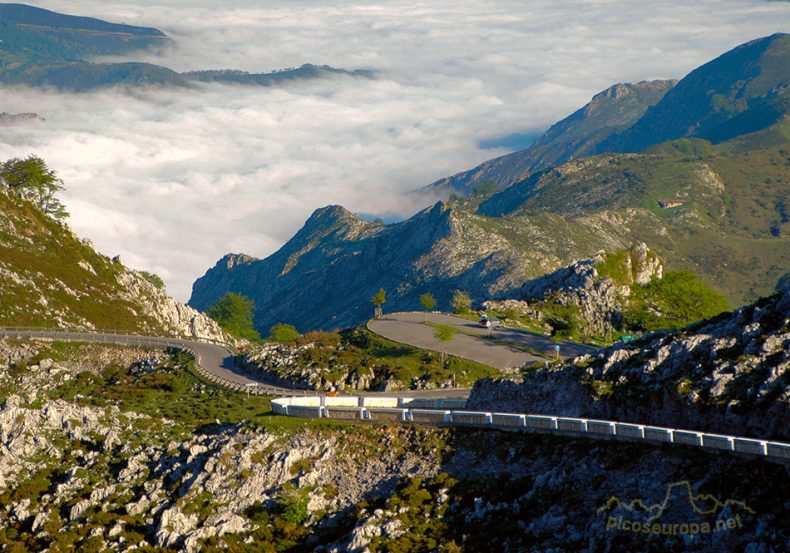 melhor_da_espanha_amt_2026 (9)