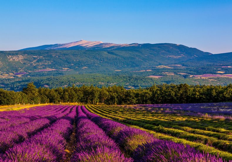 provence_cote_dazur_2027_amt_003